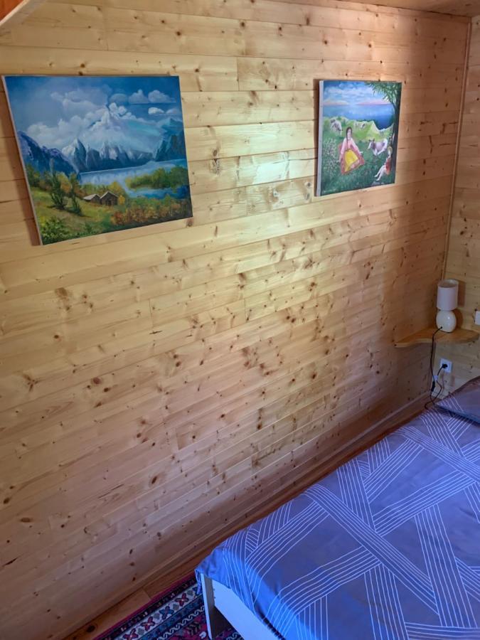 Chalet Rustique, 3Pieces, Jusqu'A 6 Personnes Urbès Εξωτερικό φωτογραφία