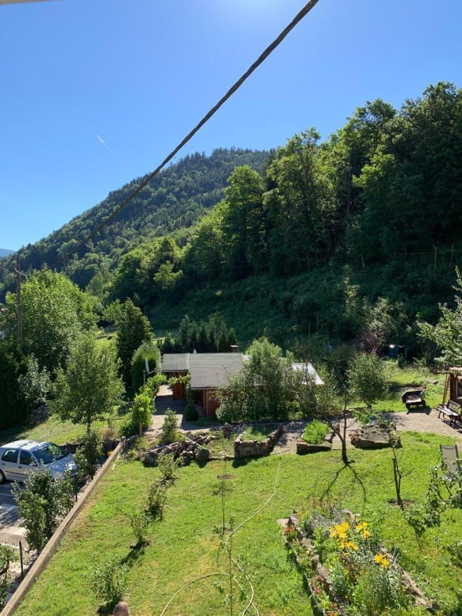 Chalet Rustique, 3Pieces, Jusqu'A 6 Personnes Urbès Εξωτερικό φωτογραφία