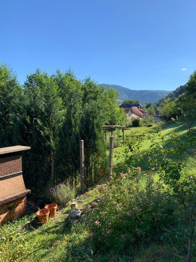 Chalet Rustique, 3Pieces, Jusqu'A 6 Personnes Urbès Εξωτερικό φωτογραφία