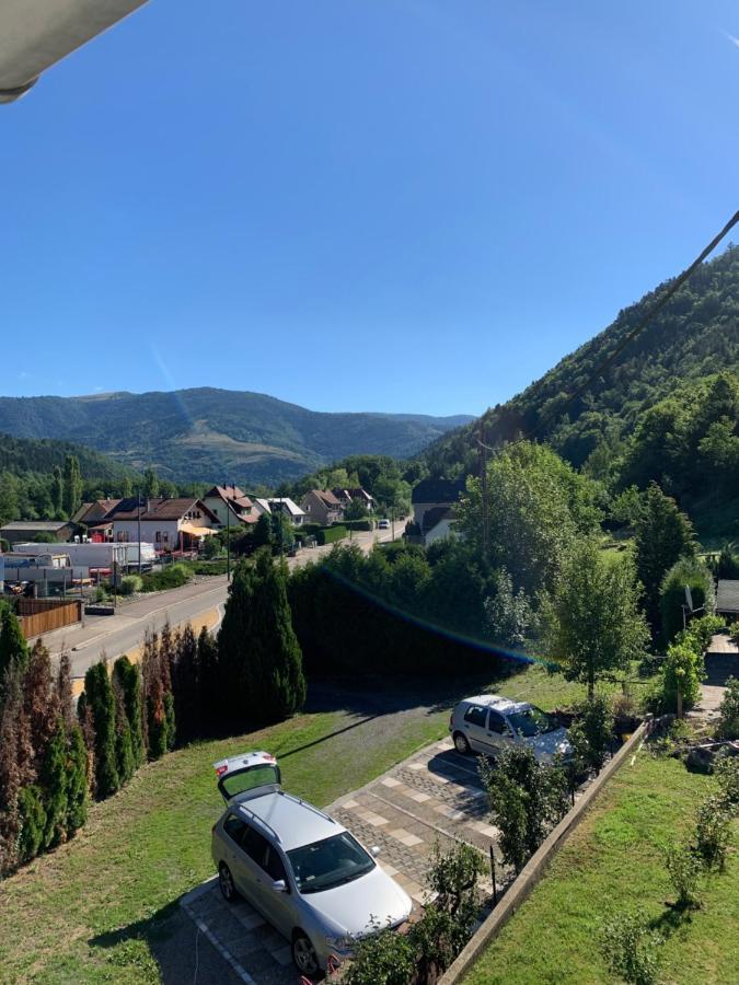 Chalet Rustique, 3Pieces, Jusqu'A 6 Personnes Urbès Εξωτερικό φωτογραφία