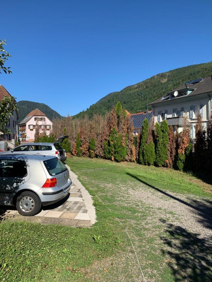 Chalet Rustique, 3Pieces, Jusqu'A 6 Personnes Urbès Εξωτερικό φωτογραφία