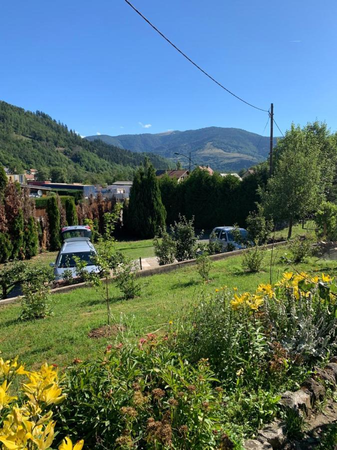Chalet Rustique, 3Pieces, Jusqu'A 6 Personnes Urbès Εξωτερικό φωτογραφία